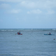 Image for article titled Review: Pentax W60 Waterproof Camera Catching Whale Sharks